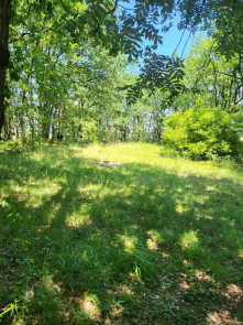 Terrain à aménager en Vente à Montjoire /  pièce 2425m2